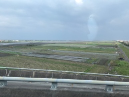 Moooooore rice fields.